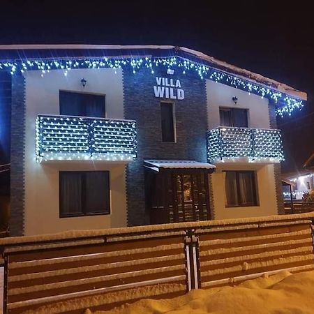 Villa Wild Petrosani Bagian luar foto