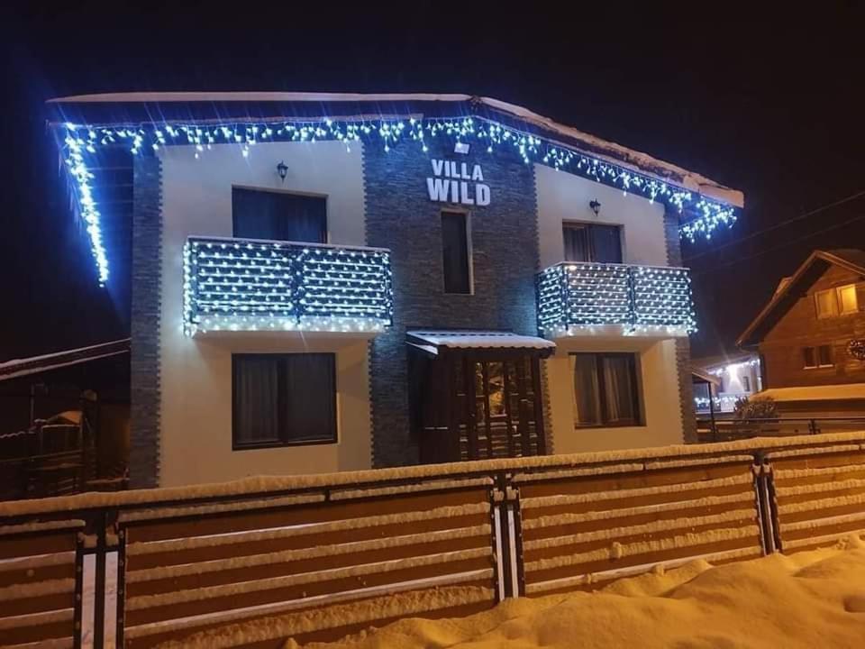 Villa Wild Petrosani Bagian luar foto
